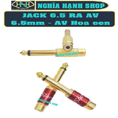 Jack 6 ly ra AV hoa sen | Đầu chuyển đổi jack 6ly av, Jack chuyển 6 ly hoa sen, Jack 6.5 ra Hoa sen, Đầu chuyển jack 6.5 sang hoa sen