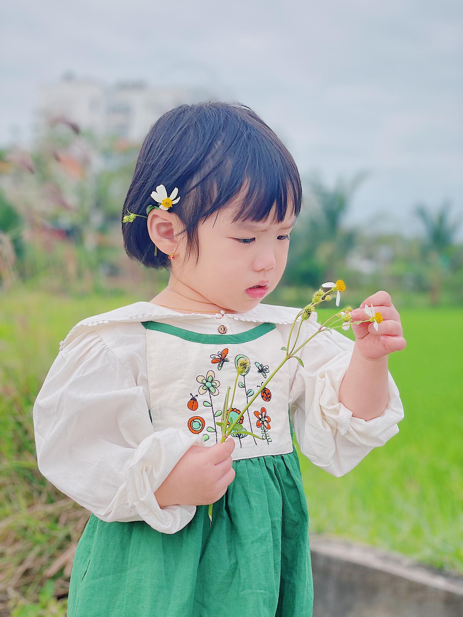 Áo Sơ Mi Tay Phồng Cổ Lá Sen Phối Ren Phong Cách Hàn Quốc Dễ Thương Cho Bé Gái - LAURA TOP - TOL001 -  SAOLA KIDS CLOTHING