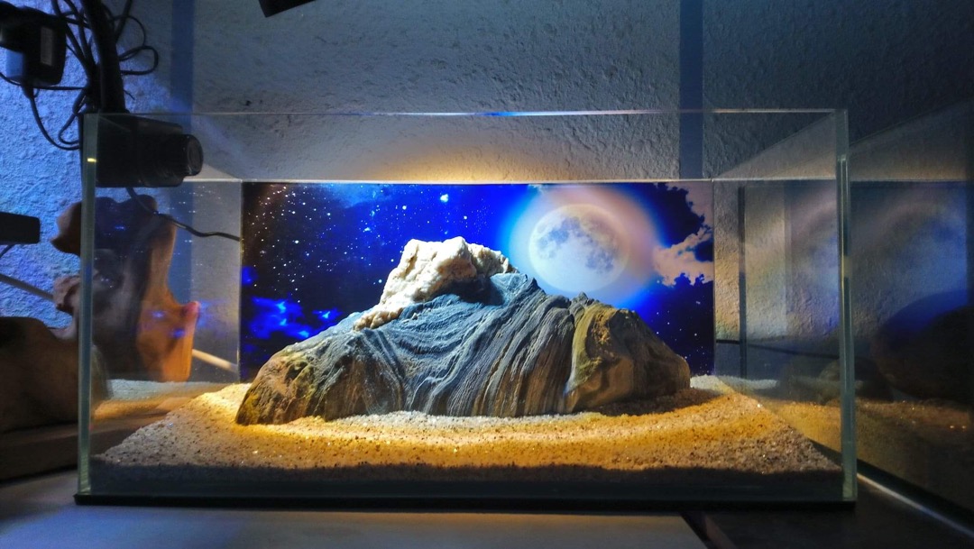 Tranh dán bể cá 3D - Decal dán bể cá kiểu Moon - Trăng đêm