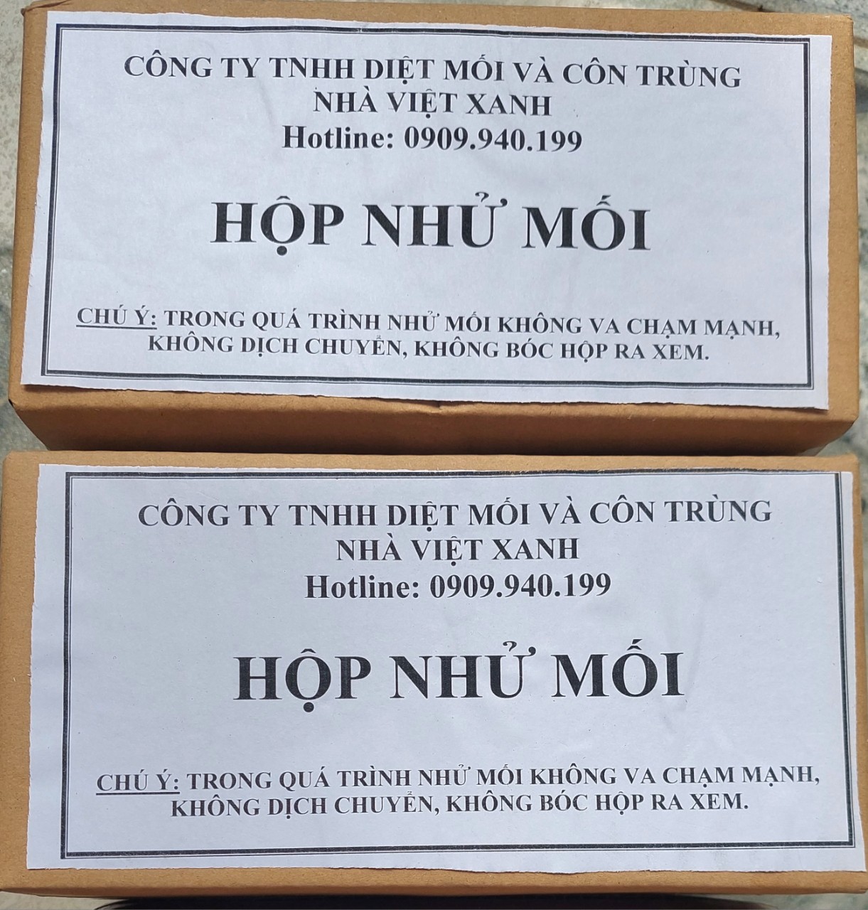 Hộp nhử mối gỗ thông trắng