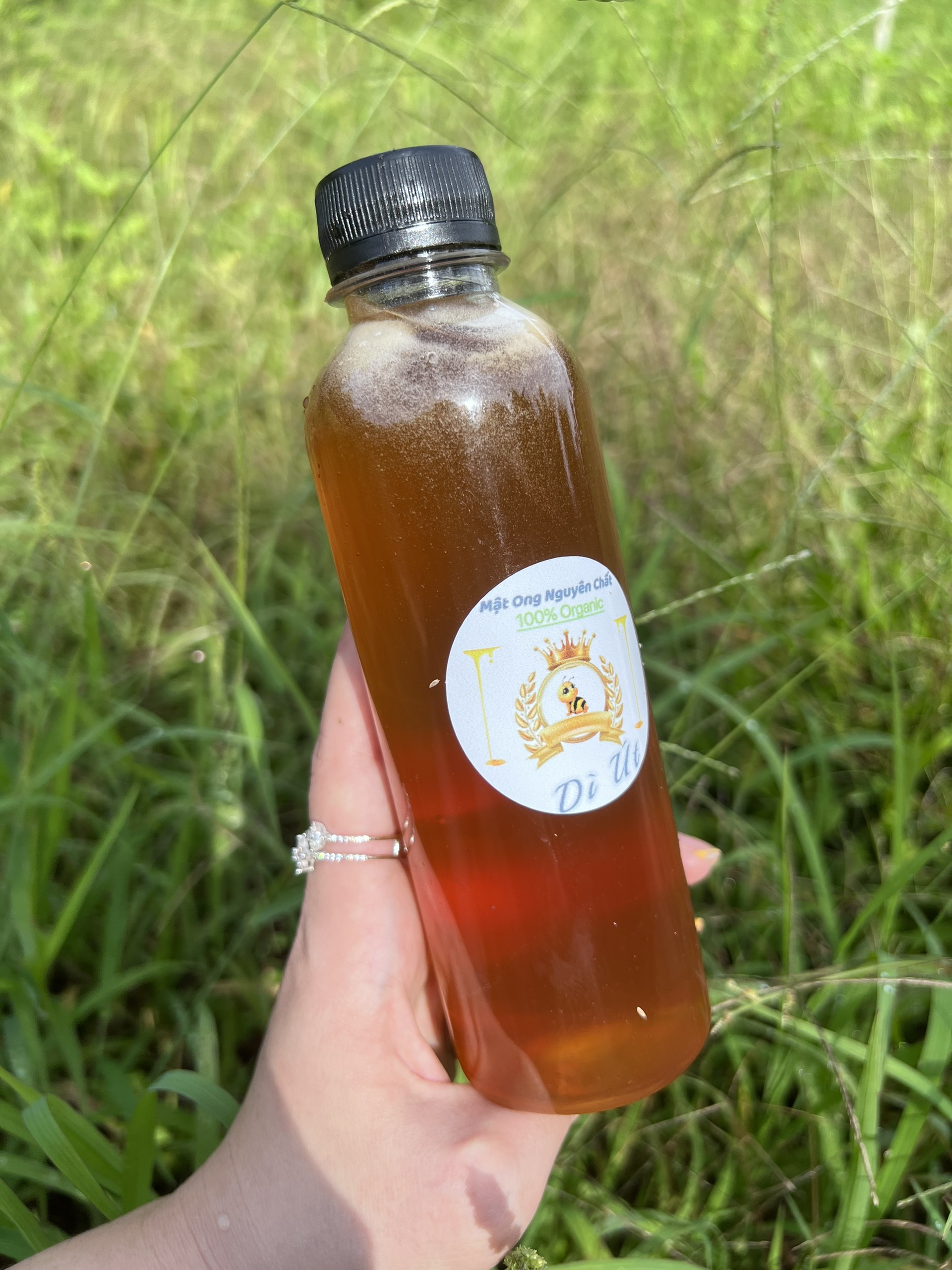 Mật ong hoa cà phê nguyên chất