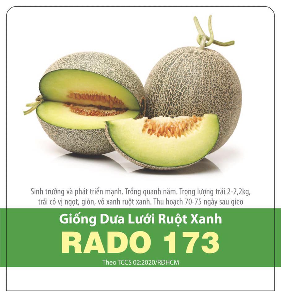 Hạt Giống Dưa Lưới Ruột Xanh Giòn Ngọt (10 Hạt)