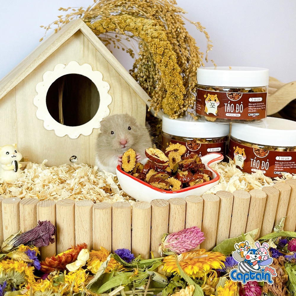 Táo đỏ cho thú gặm nhấm - Bách hóa Hamster