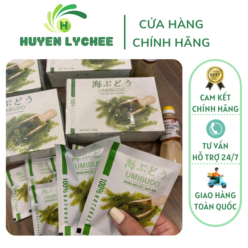 Rong nho Rong nho tách nước umibudo loại 1 đạt tiêu chuẩn xuất khẩu, rong nho, rong biển, rong nho khô, rong nho tách nước, rong nho Ninh Thuận