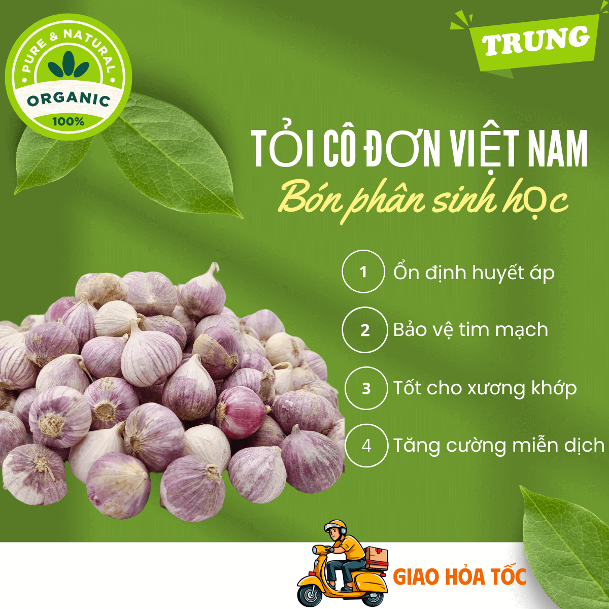 [Organic] [HCM] 3kg Tỏi cô đơn Việt Nam, tỏi mồ côi thơm ngon, tỏi 1 nhánh chắc củ loại TRUNG không hóa chất tăng trưởng, tốt cho sức khỏe - thương hiệu VỢ CHỒNG TÔI