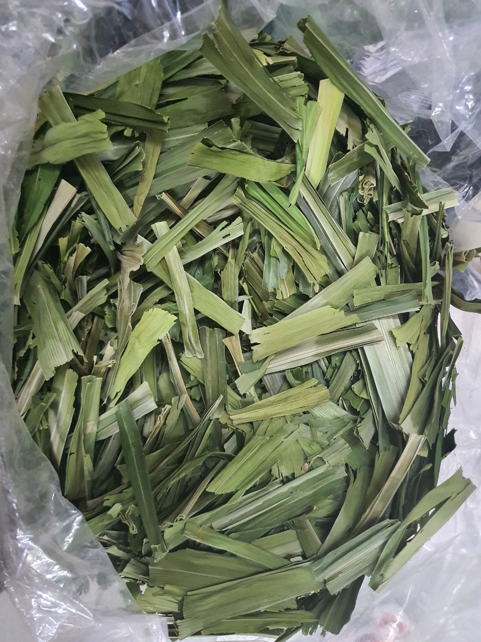 Lá dứa sấy lạnh NGUYÊN VỊ hàng đẹp 100g