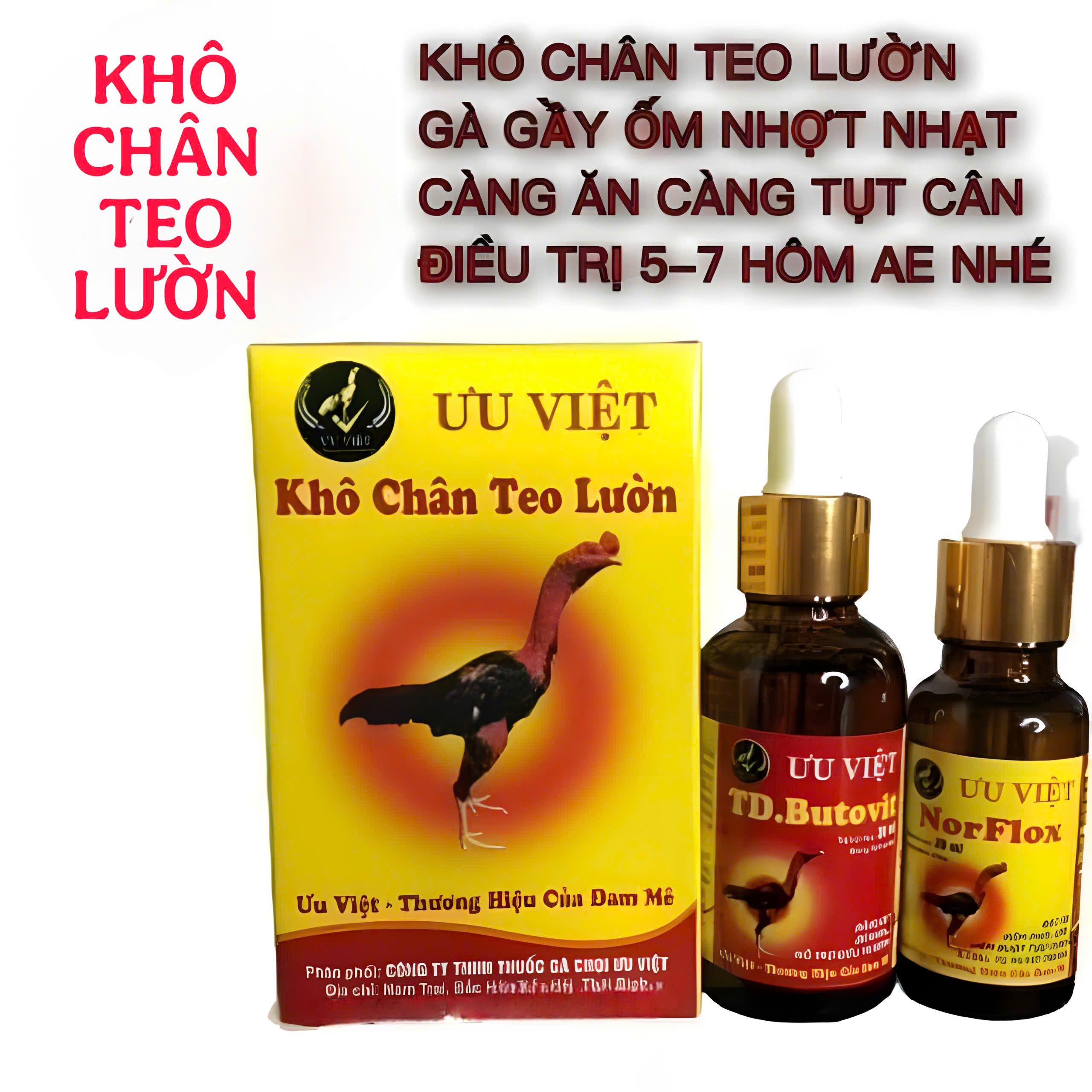 Khô chân teo lườn ưu việt hỗ trợ cho gà bị tụt cân