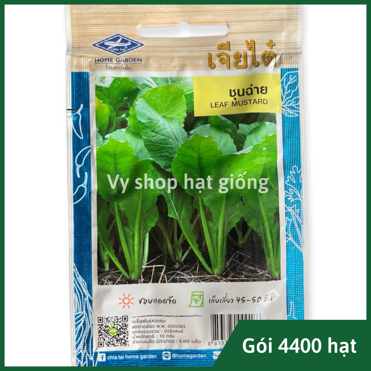 Hạt giống rau cải xanh bốn mùa thái lan gói 4400 hạt