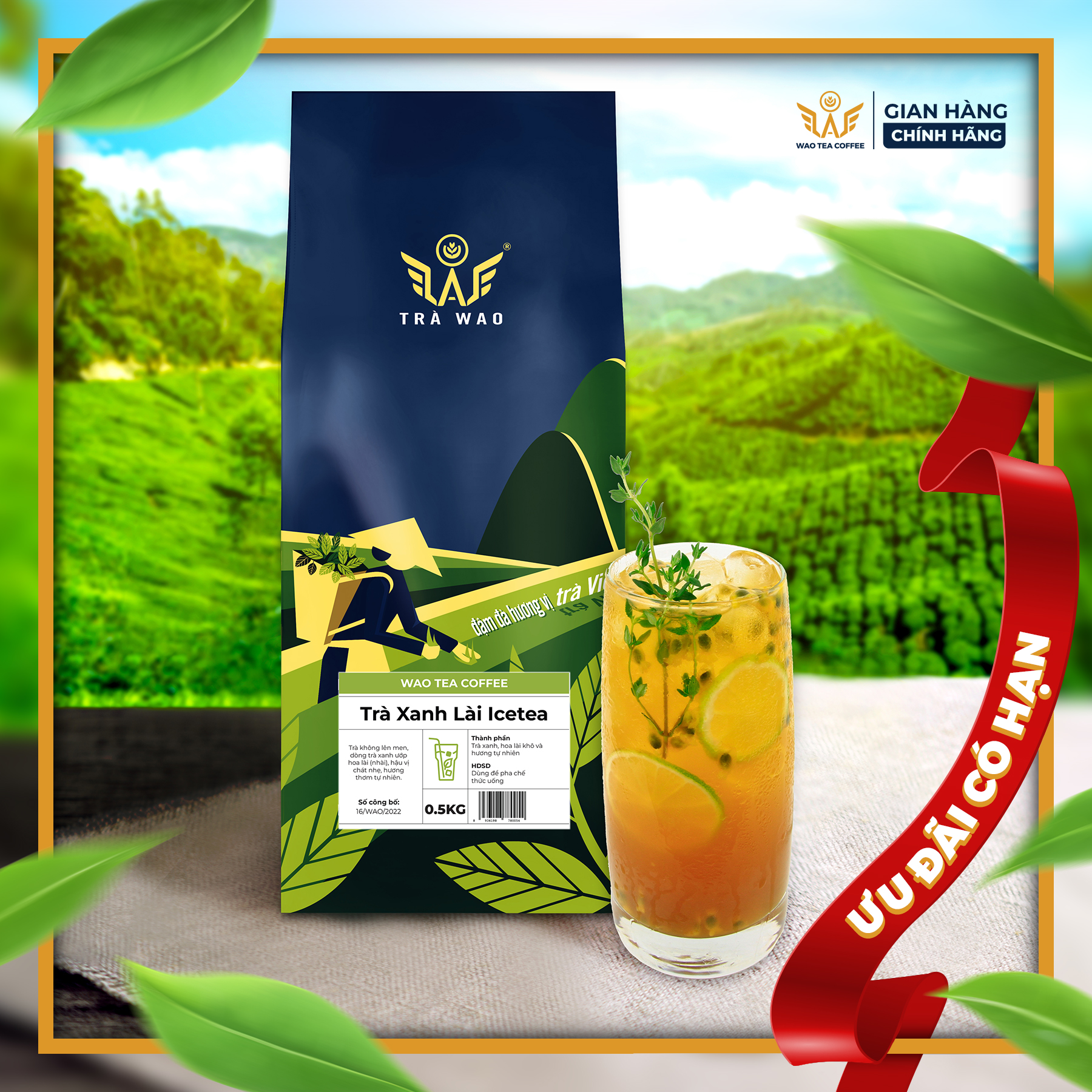 Trà Đá IceTea WAO (Xanh Lài/Nhài) (0,5Kg) pha trà đá, trà tắc, chanh, quất, bưởi