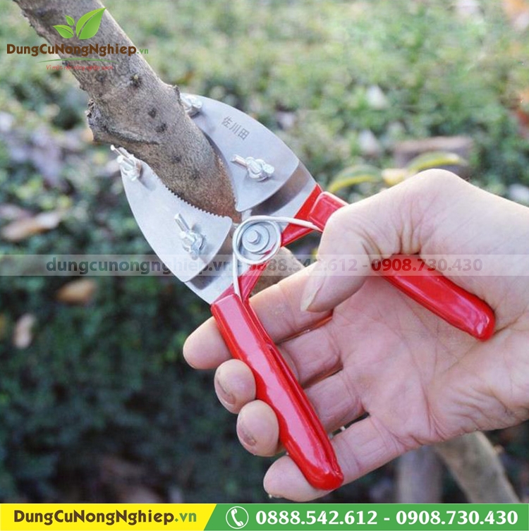 Kéo khoanh vỏ chiết cành kép lưỡi răng cưa