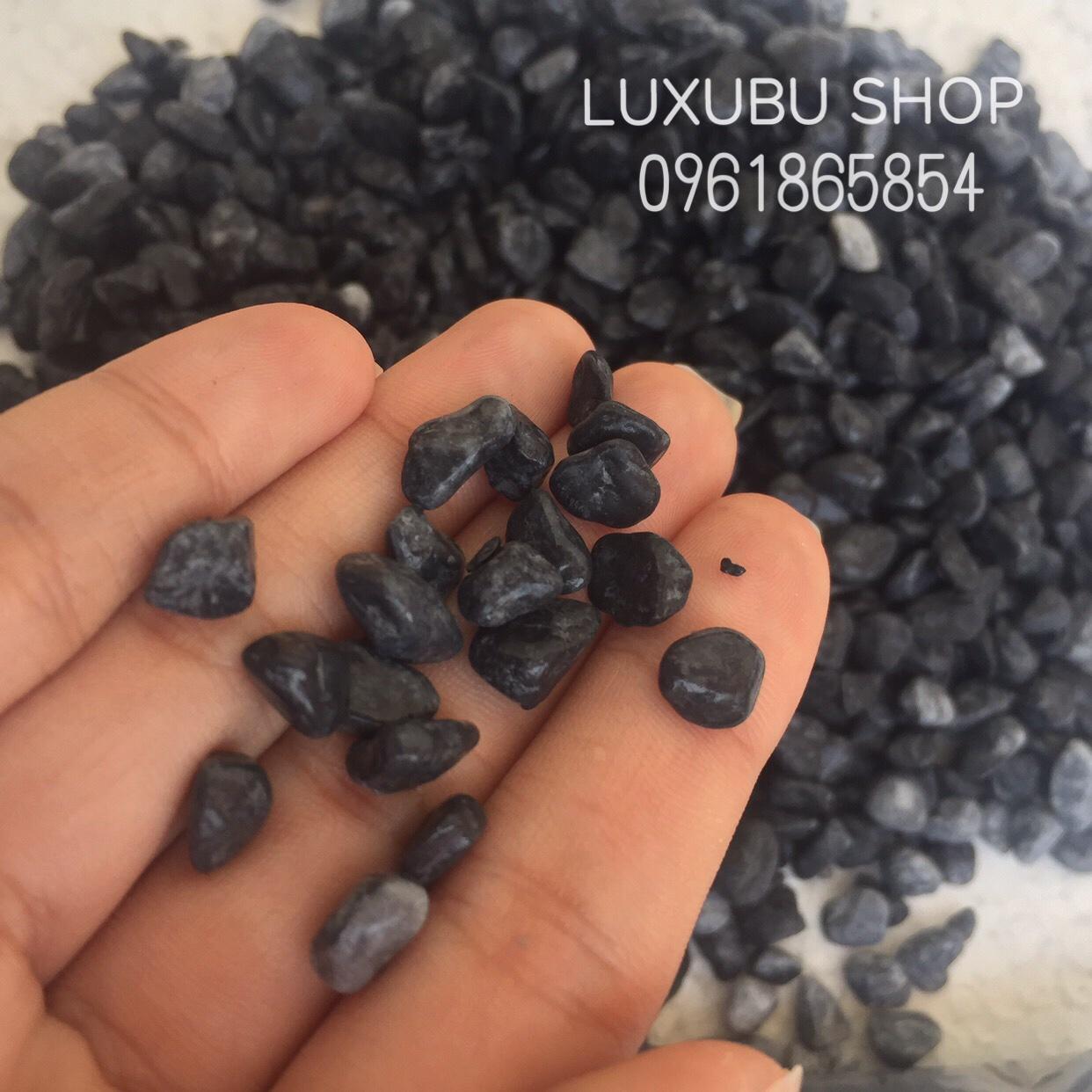 [HCM]COMBO 5kg Sỏi Đen viên nhỏ Trang Trí Sân Vườn Lót Chậu Trang Trí Bể Cá Trang Trí Thủy Sinh