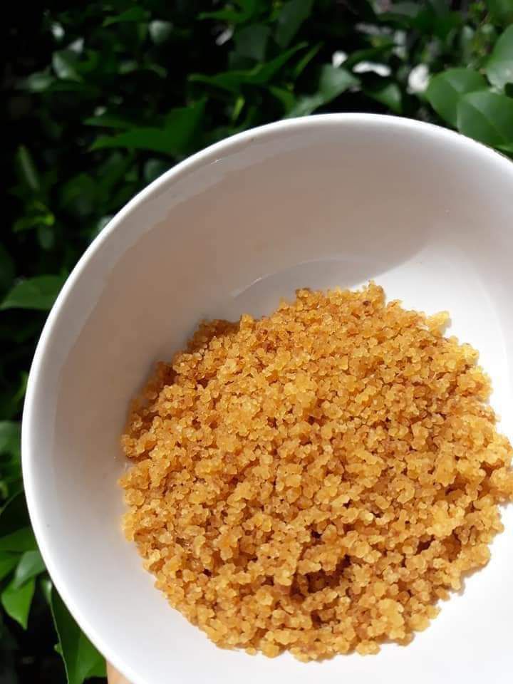 nấm water kefir đông khô...