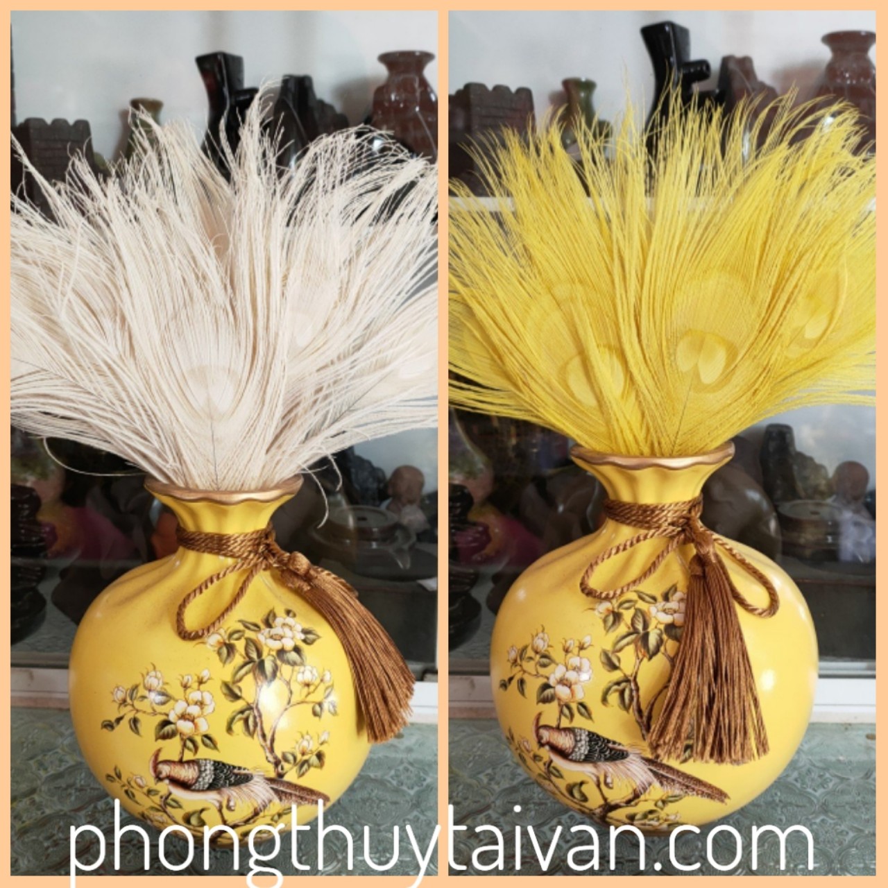 Lông Công màu TRẮNG,VÀNG♈ trang trí 30cm-lông Khổng tước chiêu tài,trang trí