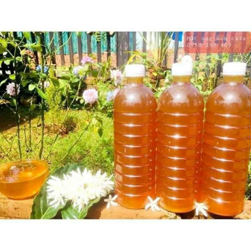 Mật ong hoa cà phê Daklak Tramshop1993 chai 1 lít