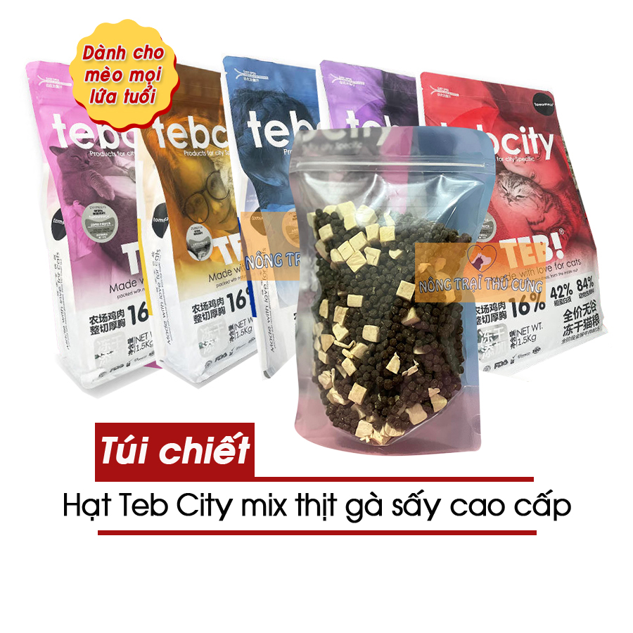 Hạt Cho Mèo Mix Thịt Sấy TEB City