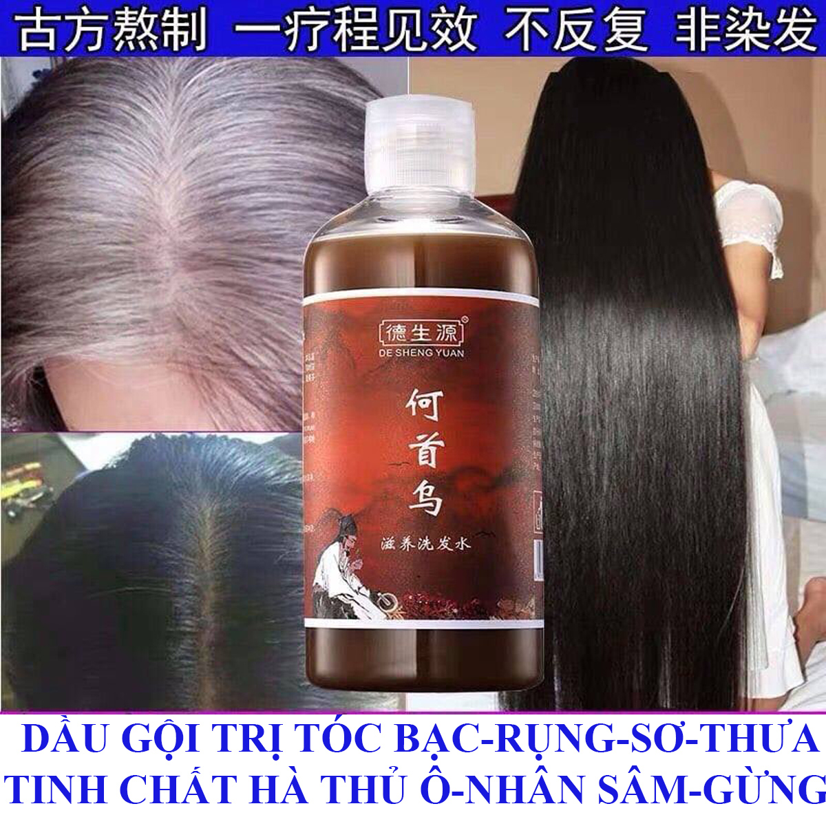 Dầu Hà Thủ Ô phục hồi tóc bạc, đen mượt tóc, sạch gàu kích thích mọc tóc