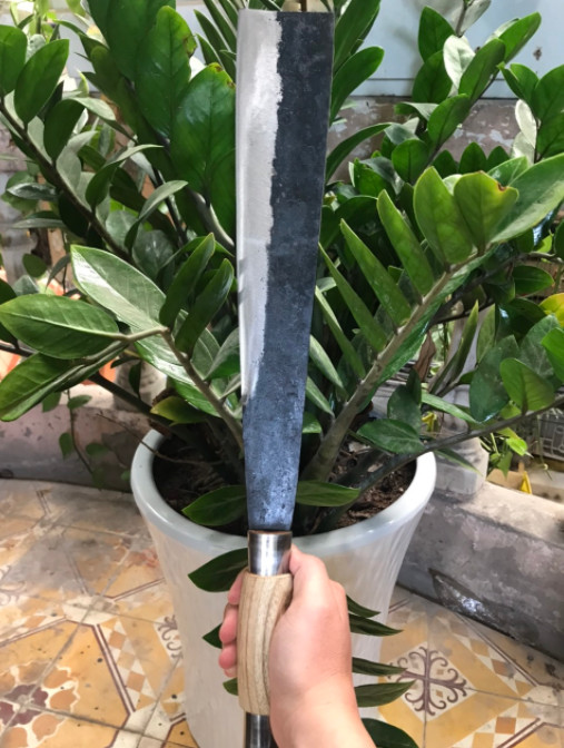 Dao tông cán gỗ vip