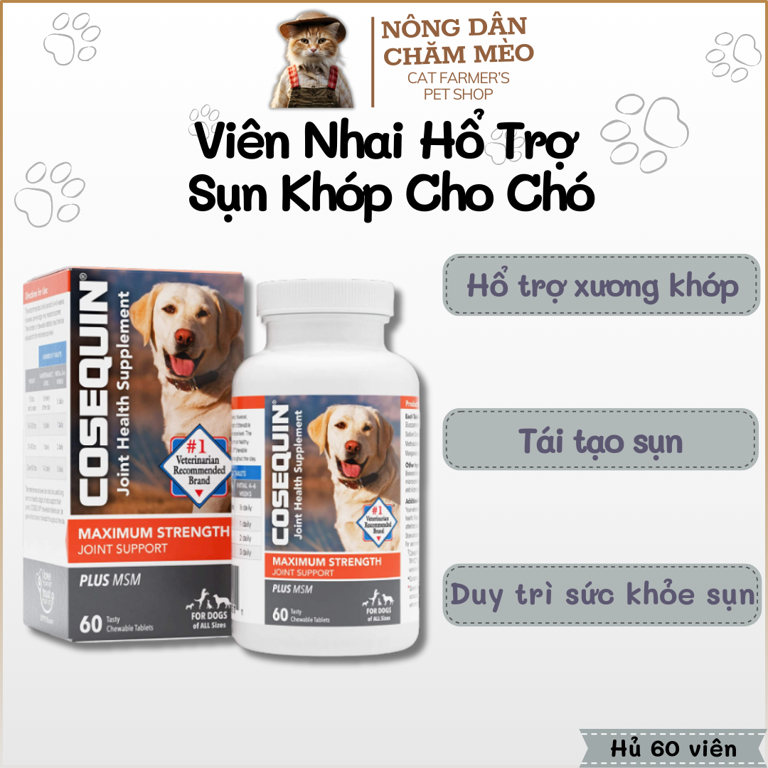 Viên Nang Hỗ Trợ Xương Khớp, Tái Tạo Sụn Cho Chó Nutramax Cosequin Maximum Strength - Với Glucosamine, Chondroitin và MSM
