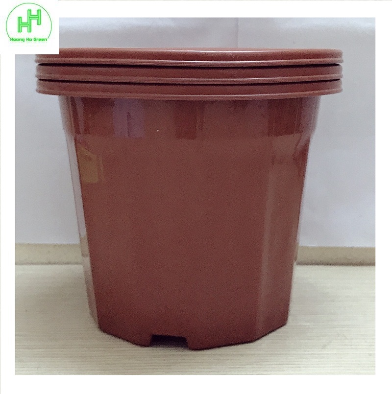 3 chậu nhựa trồng hoa, cây cảnh e230 cn