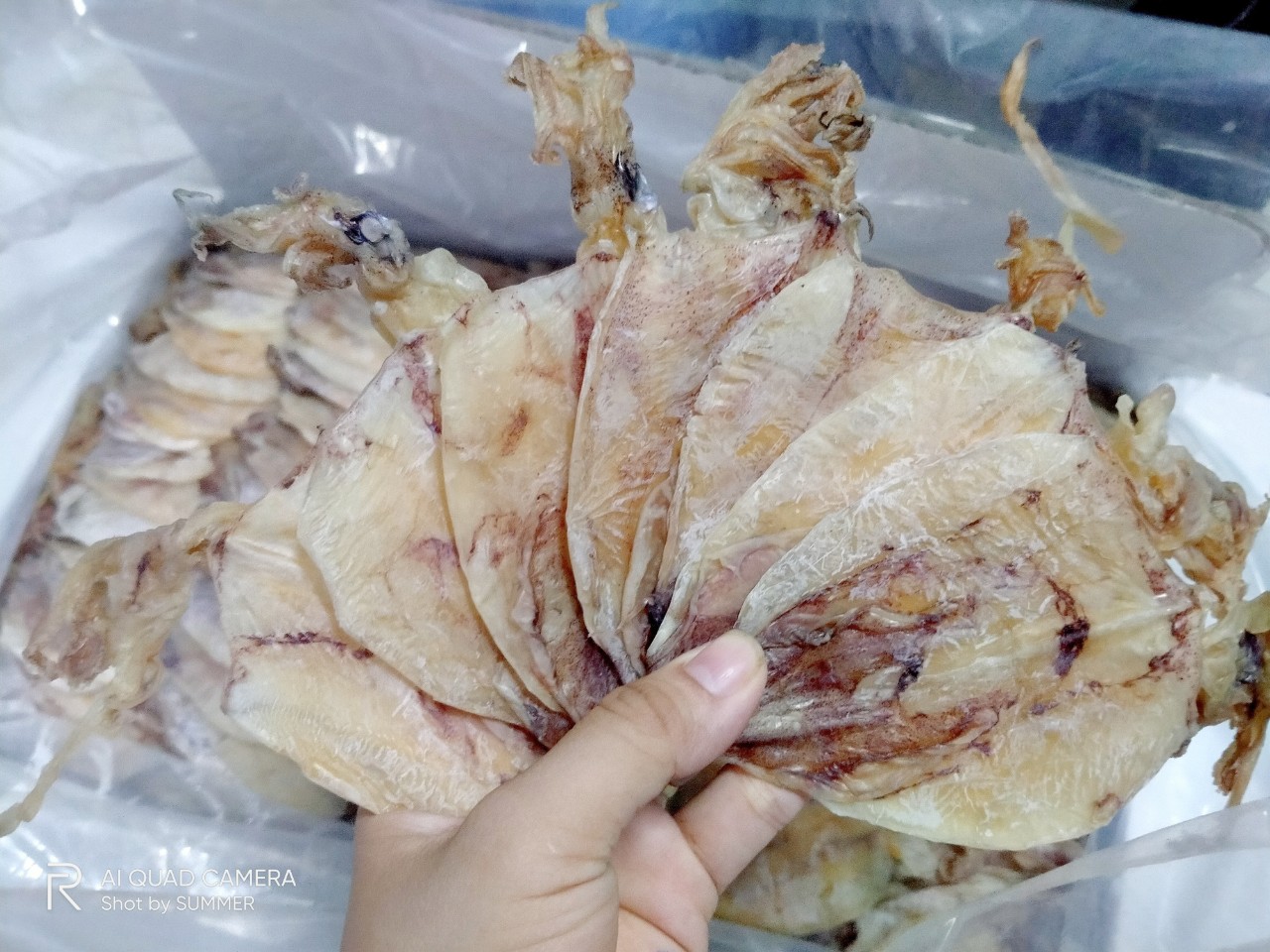 [HCM]KHÔ MỰC VŨNG TÀU 05KG( 30-40C)