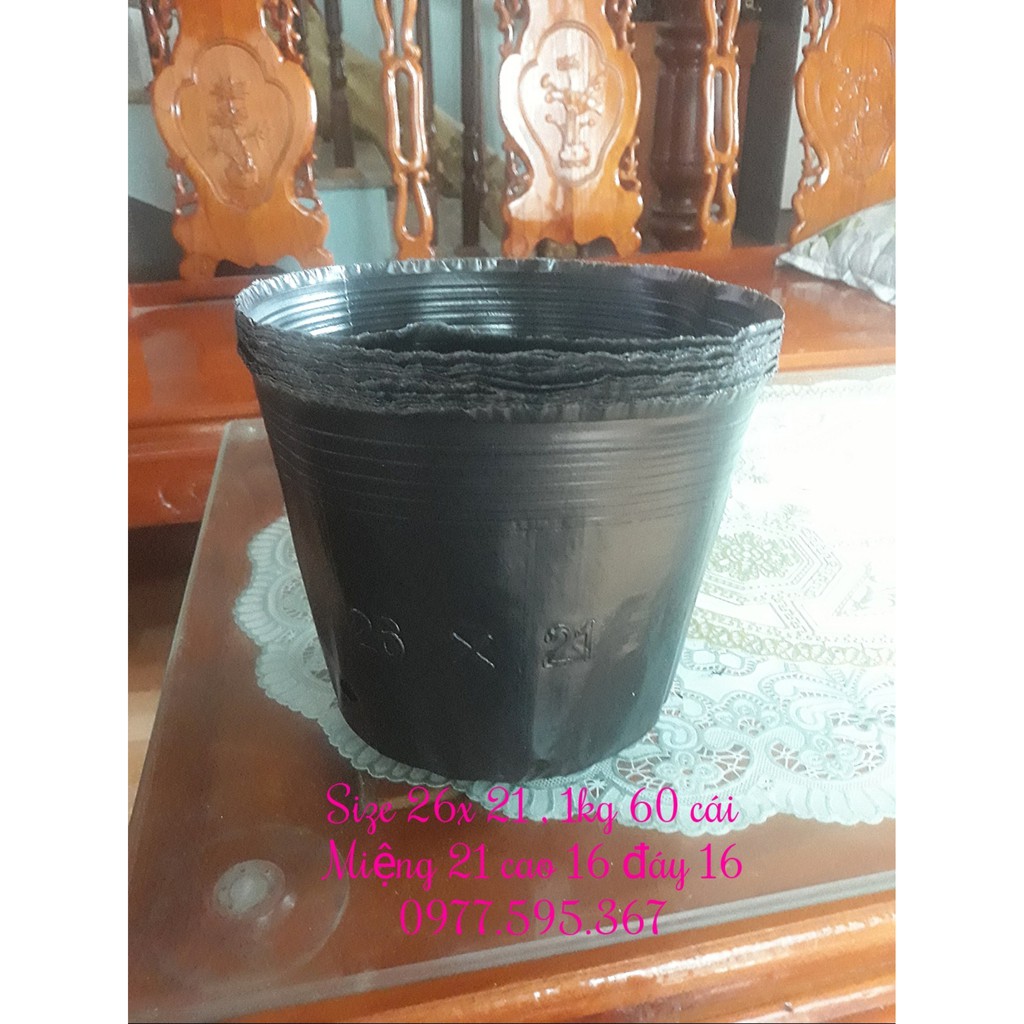 Bầu ươm cây 26x21 1kg 60 cái
