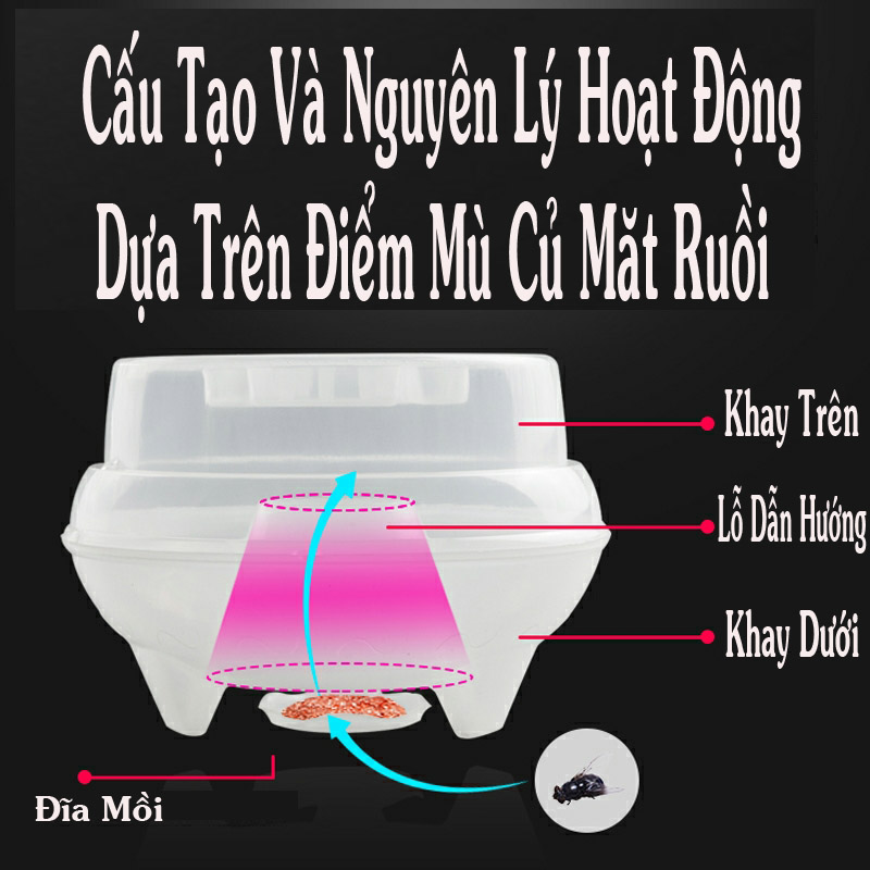 Máy bẫy ruồi không sử dụng điện