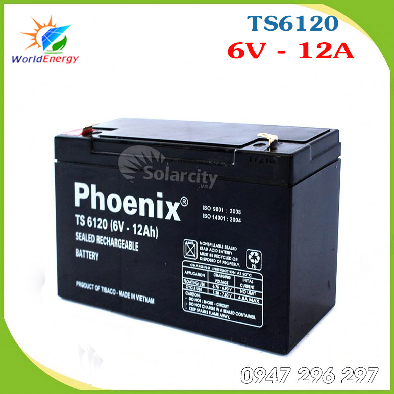 Ắc quy Phoenix kín khí 6V-12A (TS6120) dùng cho xe máy điện, ô tô điện trẻ em