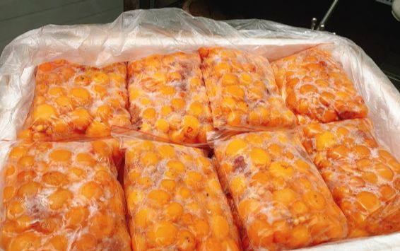 Trứng gà non túi 1KG