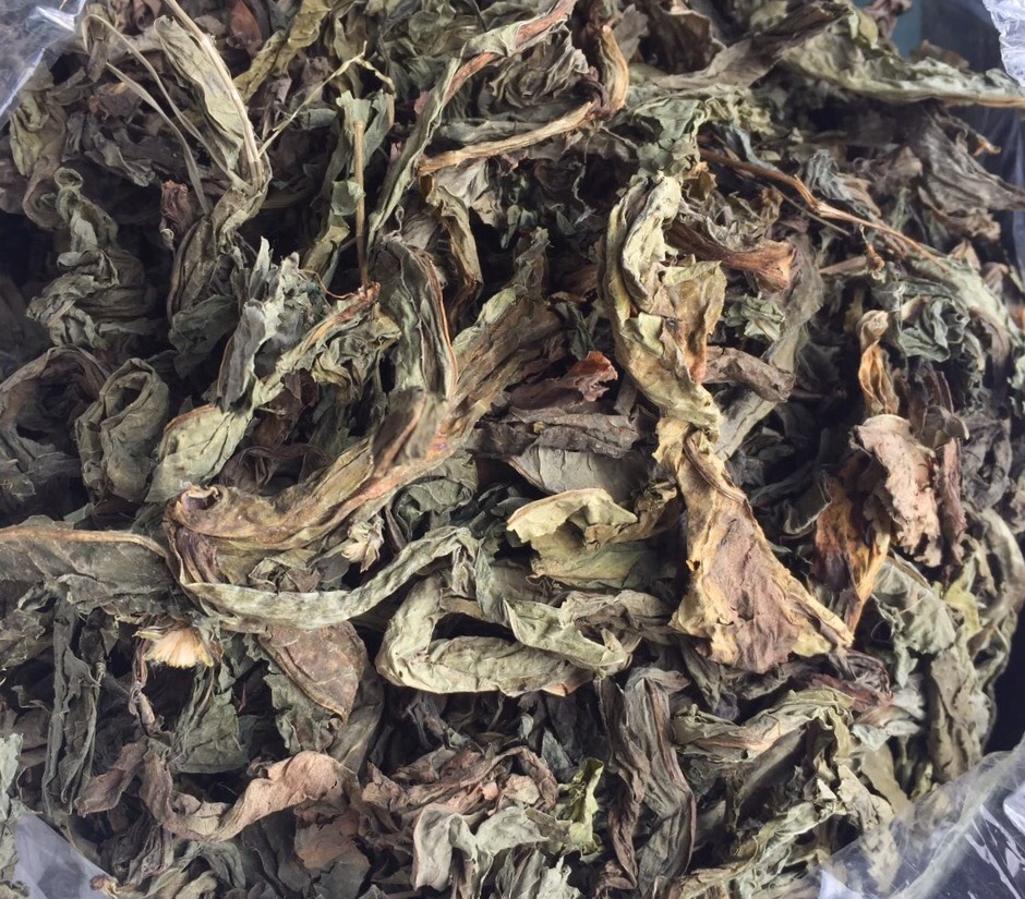 Lá bồ công anh khô 1kg