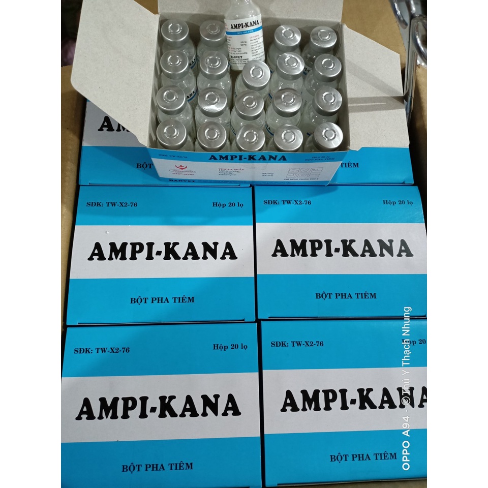 Ampi - kana hanvet hộp 20 lọ. ampikana có ampicillin 500ng và kanamycin 500g trong mỗi lọ. dùng cho động vật