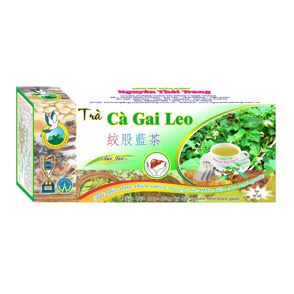 Trà Cà Gai Leo τrị Viêm Gan (Hộp 50 Túi Lọc X 2g)- Nguyên Thái Trang – Thảo Dược Thiên Nhiên – Tốt Cho Sức Khỏe