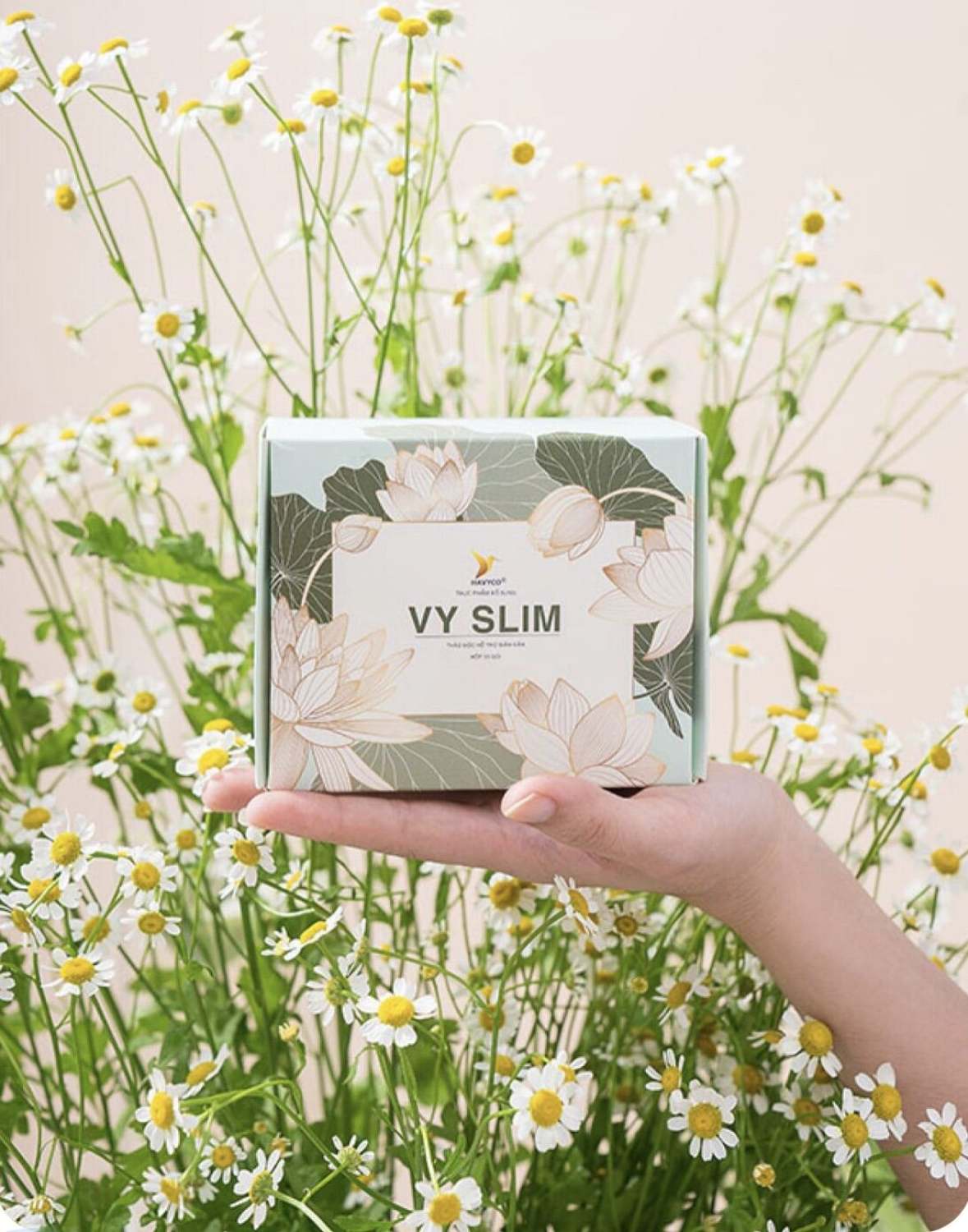 Trà thảo mộc giảm cân mẫu mới vy slim