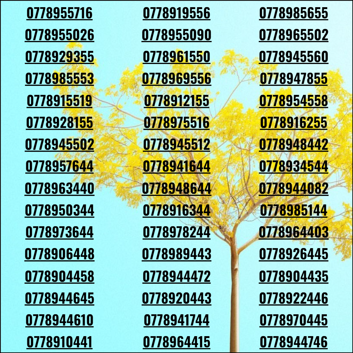 [HCM]Sim số đẹp sim 3G/4G/5G giá rẻ phong tiến khuyến mãi vĩnh viễn sảnh tiến tứ quý lộc phát hoa sim