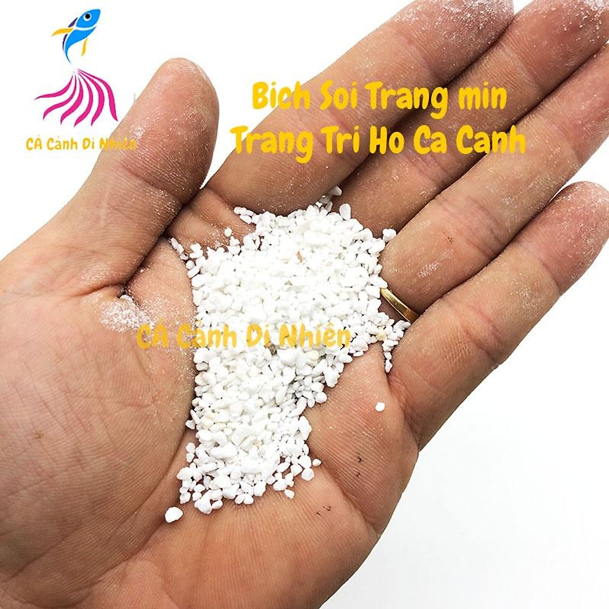 Bịch sỏi trắng mịn 1 kg trang trí hồ cá cảnh