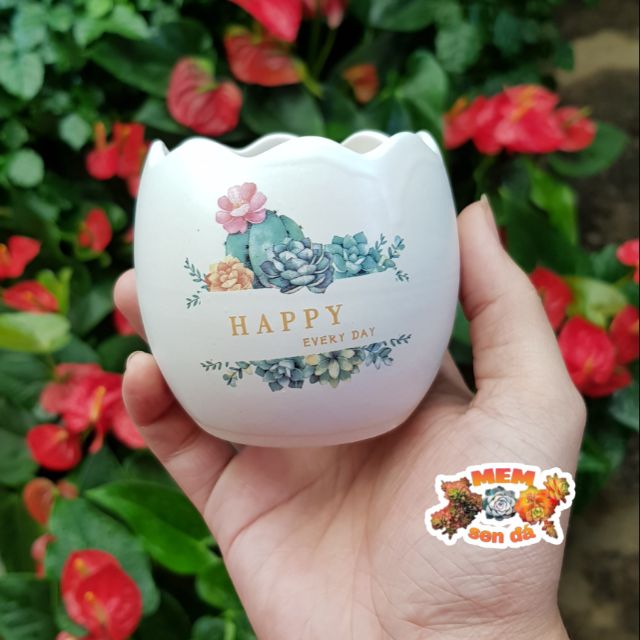 Chậu sứ trứng nhỏ in hình