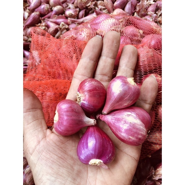 Hành tím lý sơn / hành tím vĩnh châu 1kg