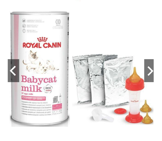 Sữa Bột Dinh Dưỡng Cho Mèo Con Babycat Milk Royal Canin 300g