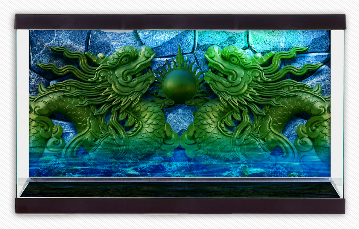 Tranh phông nền vtc dán hồ cá, bể thủy sinh aqua064 kt 60x40 cm