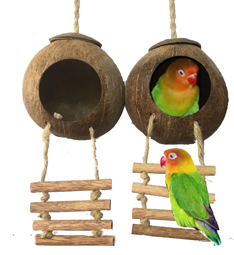 Tổ chim vẹt bằng gáo dừa| YESCOCO XƯỞNG SX