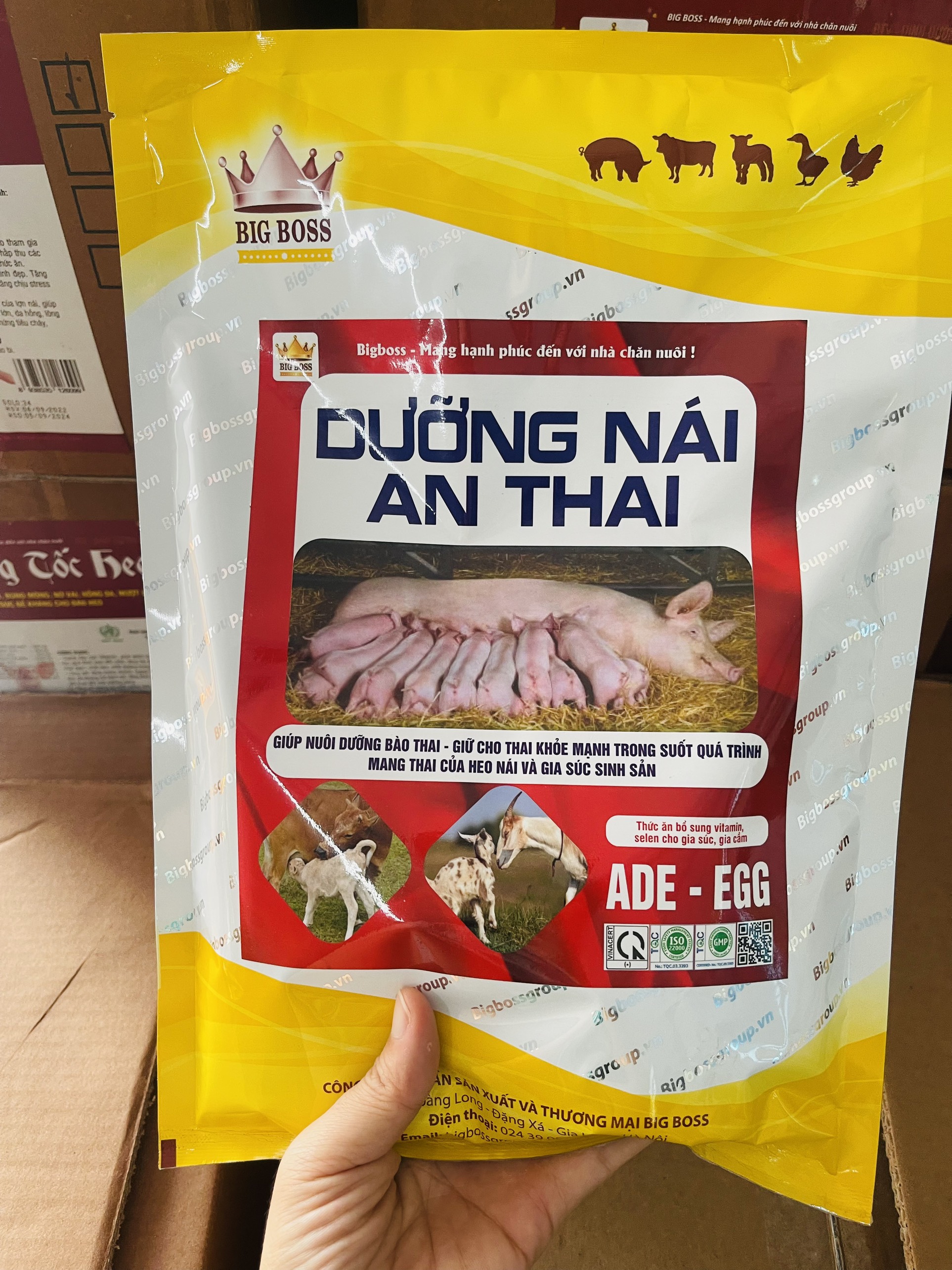Dưỡng nái an thai cho heo nái, hạn chế khô thai lưu thai, con đồng đều khỏe mạnh
