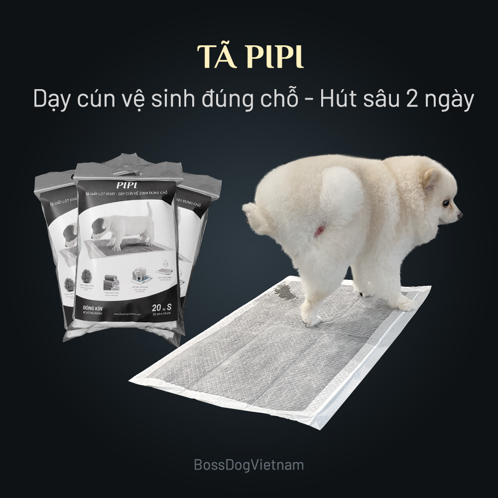 Tã lót vệ sinh chó PIPI kích thích cún tè lần sau | BossDog