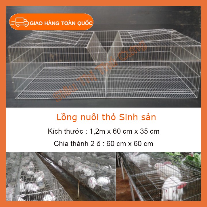LỒNG NUÔI THỎ- LỒNG NUÔI THỎ CÔNG NGHIỆP- CHUỒNG THỎ CÔNG NGHIỆP GIÁ RẺ