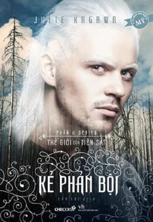 Book - the Traitor (Part 6 of the Iron Fairy World Series)