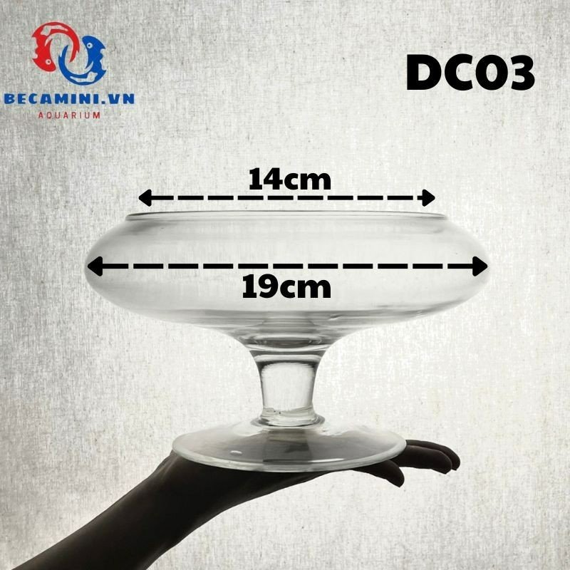 Bể cá để bàn -bể cá thủy tinh hồ cá mini chậu cây có chân - dc03