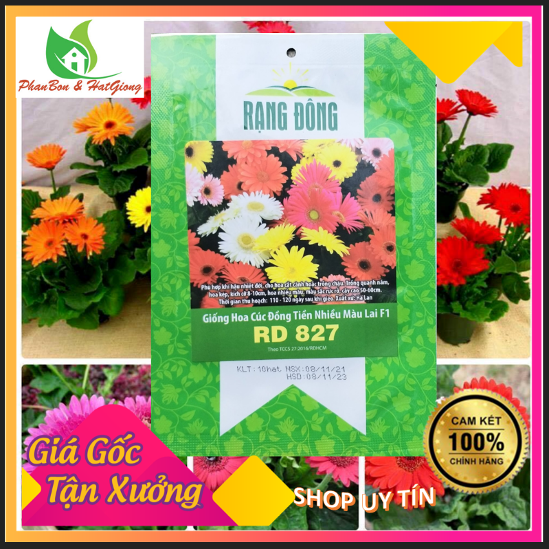 Hạt Giống Hoa Cúc Đồng Tiền Nhiều Màu Lai F1 Rạng Đông -  Shop Phân Bón, Hạt Giống Rau Củ Quả, Xơ Dừa, Mùn Dừa, Đất Sạch Trồng Rau, Cây Cảnh Tp. Hồ Chí Minh