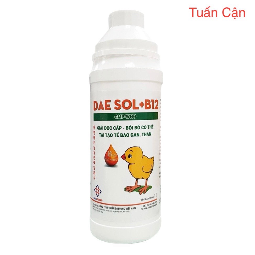 Daeyong Dae Sol B12 ( 1 Lít ) Giải độc cấp, bồi bổ cơ thể Tái tạo tế bào gan thận vật nuôi dùng trong Thú Y