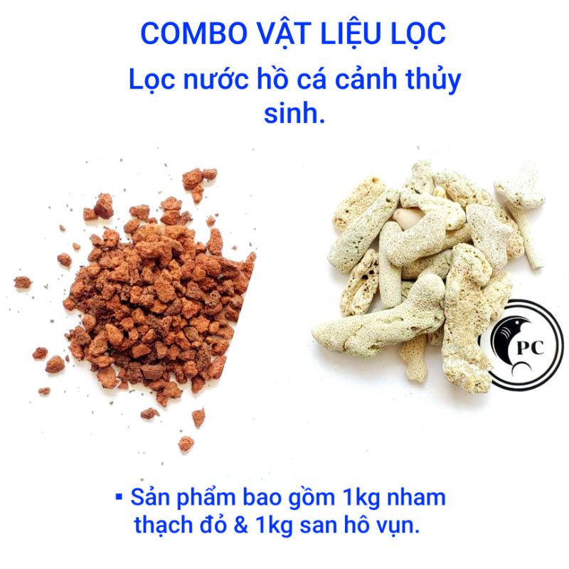 Combo san hô và nham thạch
