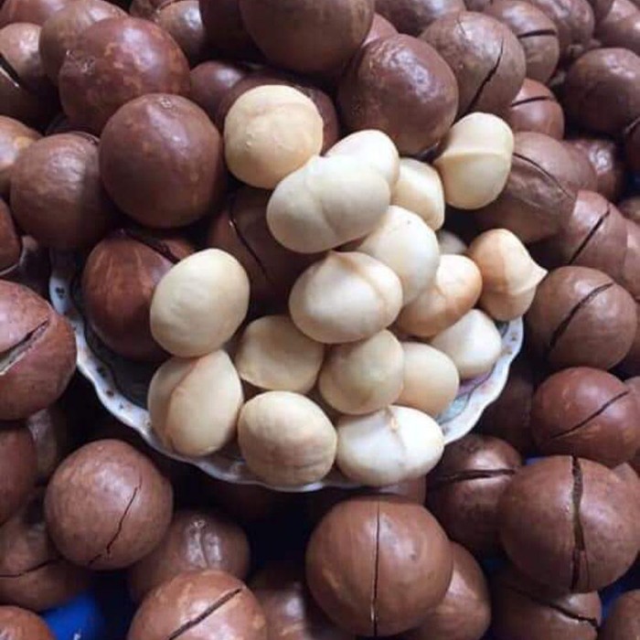 Hạt macca loại 1 daklak 1/2kg -đảm bảo chất lượng