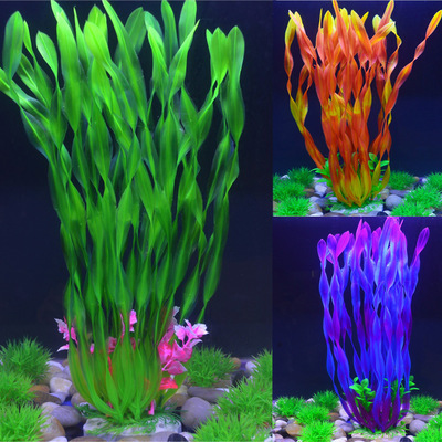 Cây trang trí bể cá cảnh 40cm đa dạng màu rong, lục bình