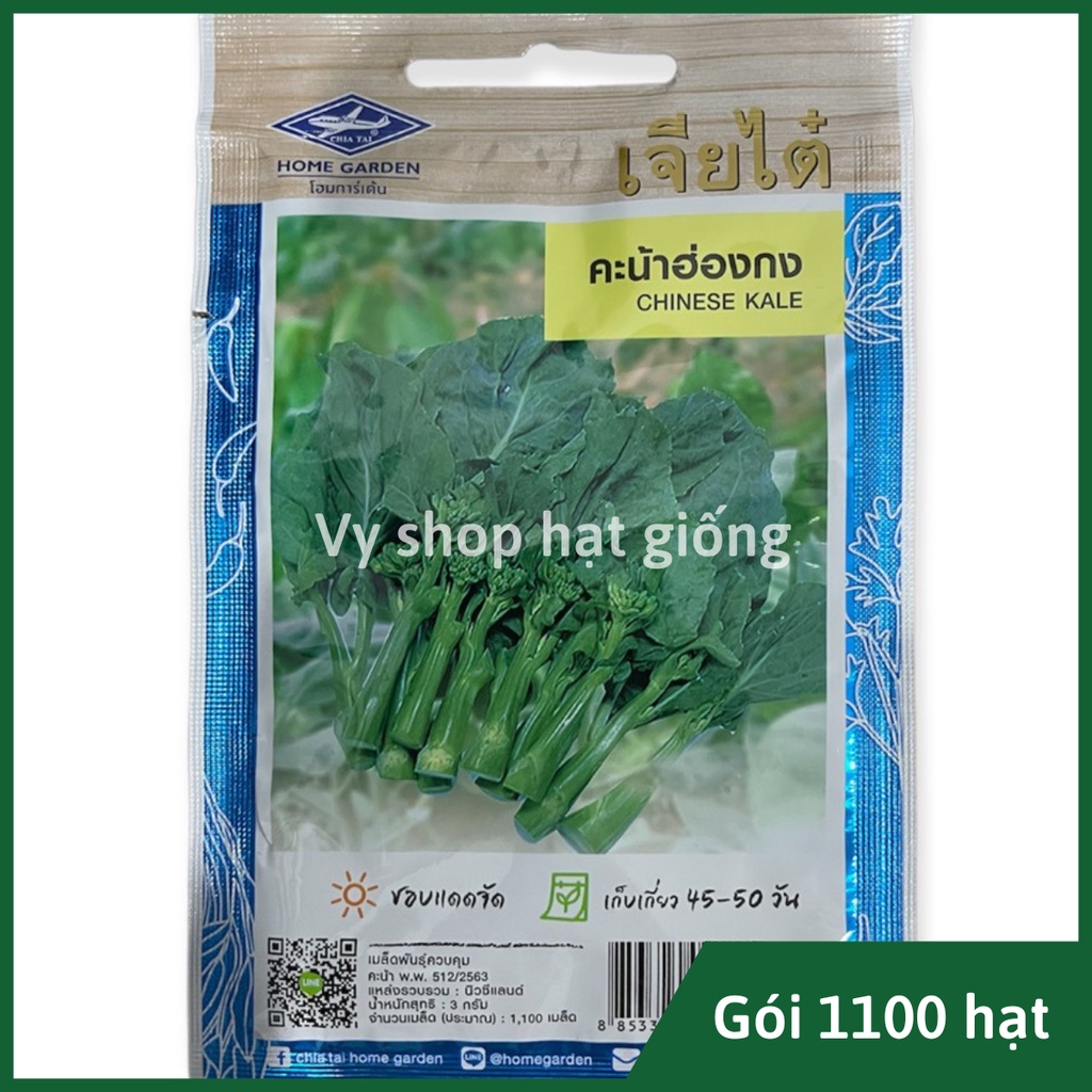 Hạt giống cải làn thân mập Thái Lan gói 1100 hạt